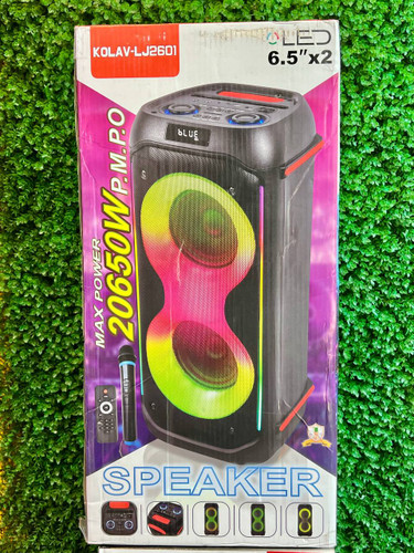 SPEAKER
